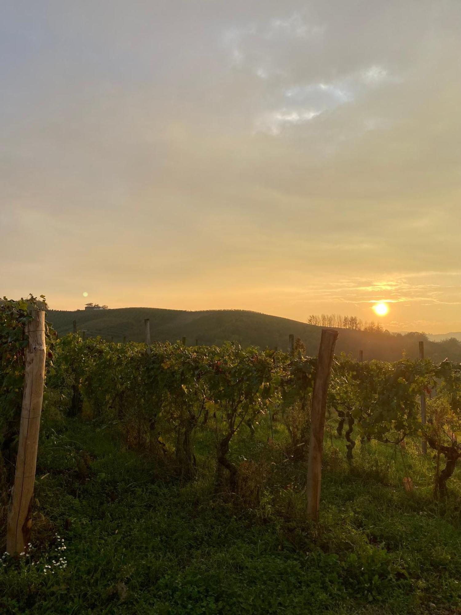 Tenuta Agricola La Cava- Cantina E Agriturismo San Damiano dʼAsti Exterior foto