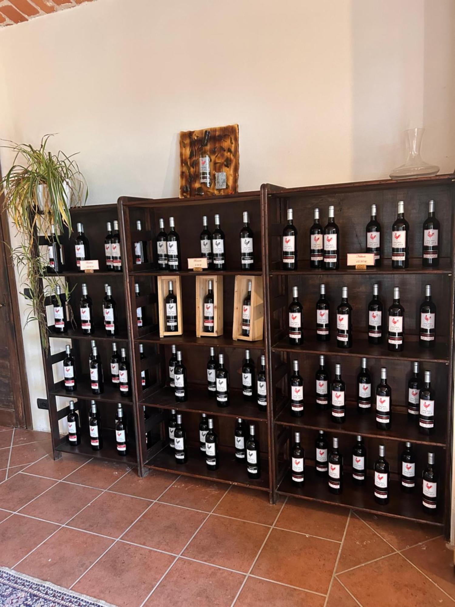 Tenuta Agricola La Cava- Cantina E Agriturismo San Damiano dʼAsti Exterior foto
